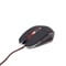 Фото - Мышь Gembird MUSG-001-R красная USB | click.ua