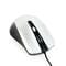Фото - Миша Gembird MUS-4B-01-BS Black/Silver | click.ua