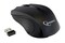 Фото - Миша бездротова Gembird MUSW-101 Black | click.ua