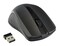 Фото - Миша бездротова Gembird MUSW-101 Black | click.ua