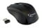 Фото - Мышь беспроводная Gembird MUSW-101 Black | click.ua