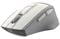 Фото - Мышь беспроводная A4Tech FG30 Grey/White | click.ua