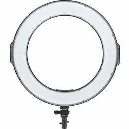Накамерне світло PowerPlant Ring Light RL288A LED (RL288A)