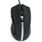 Фото - Мышь Gembird MUS-GU-02 Black | click.ua