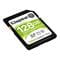 Фото - Карта пам`яті SDXC 128GB UHS-I/U3 Class 10 Kingston Canvas Select Plus R100/W85MB/s (SDS2/128GB) | click.ua