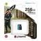Фото - Карта пам`яті MicroSDXC 256GB UHS-I/U3 Class 10 Kingston Canvas Go! Plus R170/W90MB/s (SDCG3/256GBSP) | click.ua