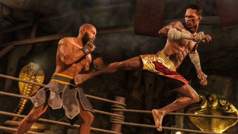 Игра UFC 4 для Sony PlayStation 4, Russian subtitles, Blu-ray (1055619)