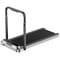 Фото - Беговая дорожка KingSmith Walkingpad Treadmill Black (TRR2FB) | click.ua