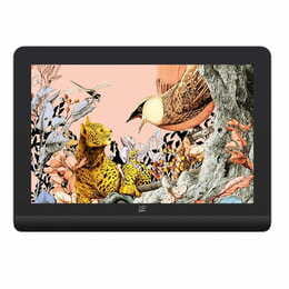 Графічний монітор XP-Pen Artist Pro 16 (Gen 2) (MD160QH_AD41)