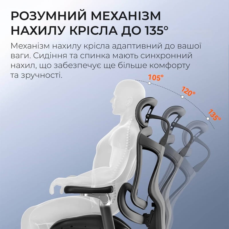 Крісло офісне Sihoo Doro C300 Pro Mesh Black with footrest (Doro-C300-Pro-M101-JT)