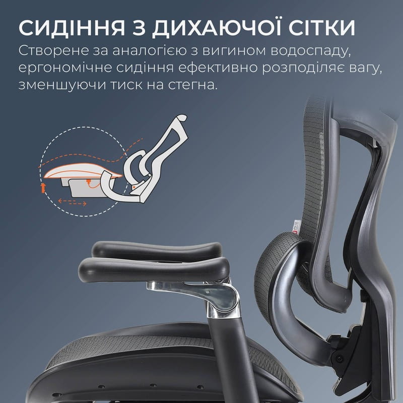 Крісло офісне Sihoo Doro C300 Pro Mesh Black with footrest (Doro-C300-Pro-M101-JT)
