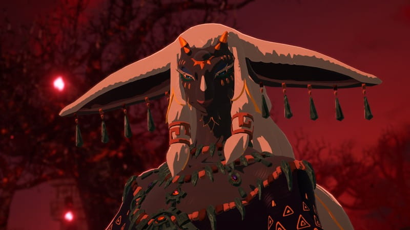 Игра Hyrule Warriors Age of Imprisonment для Nintendo Switch 2 (45496313500)