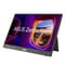 Фото - Монитор Asus 16" ZenScreen MB16FC (90LM0CB1-B01N71) IPS Black | click.ua