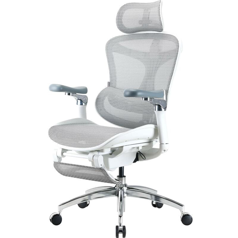 Крісло офісне Sihoo Doro C300 Pro Mesh White with footrest (Doro-C300-Pro-M102-JT)