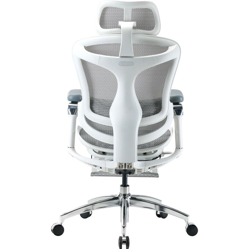 Крісло офісне Sihoo Doro C300 Pro Mesh White with footrest (Doro-C300-Pro-M102-JT)