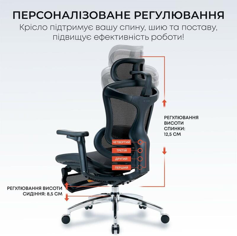 Крісло офісне Sihoo Doro C300L Mesh Black with footrest (Doro-C300L-A3-101-JT)