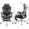 Фото - Крісло офісне Sihoo Doro C300L Mesh Black with footrest (Doro-C300L-A3-101-JT) | click.ua