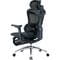 Фото - Крісло офісне Sihoo Doro C300L Mesh Black with footrest (Doro-C300L-A3-101-JT) | click.ua