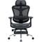 Фото - Крісло офісне Sihoo Doro C300L Mesh Black with footrest (Doro-C300L-A3-101-JT) | click.ua