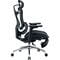 Фото - Крісло офісне Sihoo Doro C300L Mesh Black with footrest (Doro-C300L-A3-101-JT) | click.ua