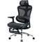 Фото - Крісло офісне Sihoo Doro C300L Mesh Black with footrest (Doro-C300L-A3-101-JT) | click.ua