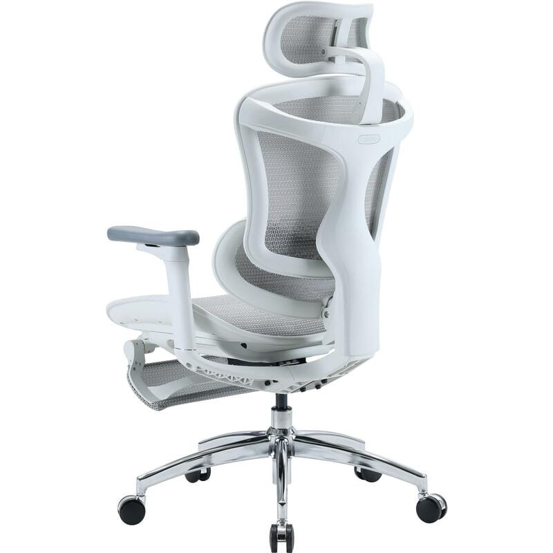 Крісло офісне Sihoo Doro C300L Mesh White with footrest (Doro-C300L-A3-102-JT)