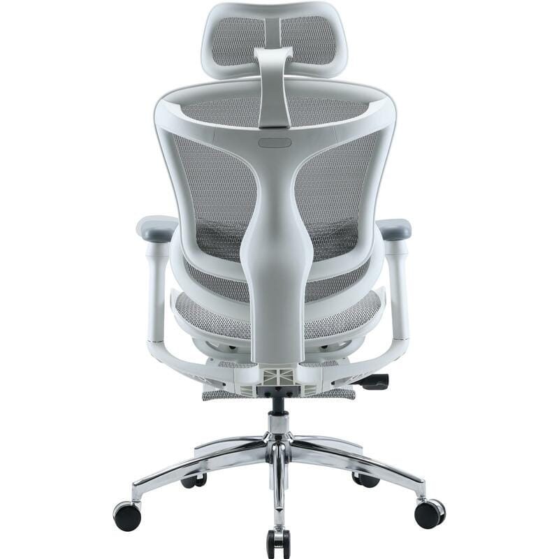 Крісло офісне Sihoo Doro C300L Mesh White with footrest (Doro-C300L-A3-102-JT)
