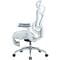 Фото - Крісло офісне Sihoo Doro C300L Mesh White with footrest (Doro-C300L-A3-102-JT) | click.ua