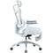 Фото - Крісло офісне Sihoo Doro C300L Mesh White with footrest (Doro-C300L-A3-102-JT) | click.ua