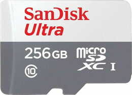 Карта памяти MicroSDXC 256GB UHS-I Class 10 SanDisk Ultra R100/W10MB/s (SDSQUNR-256G-GN3MN)