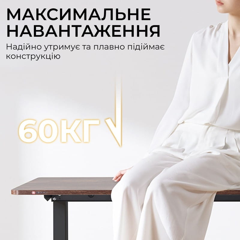 Комп`ютерний стіл Sihoo D03 Walnut/Black (D03-104/D03-108)