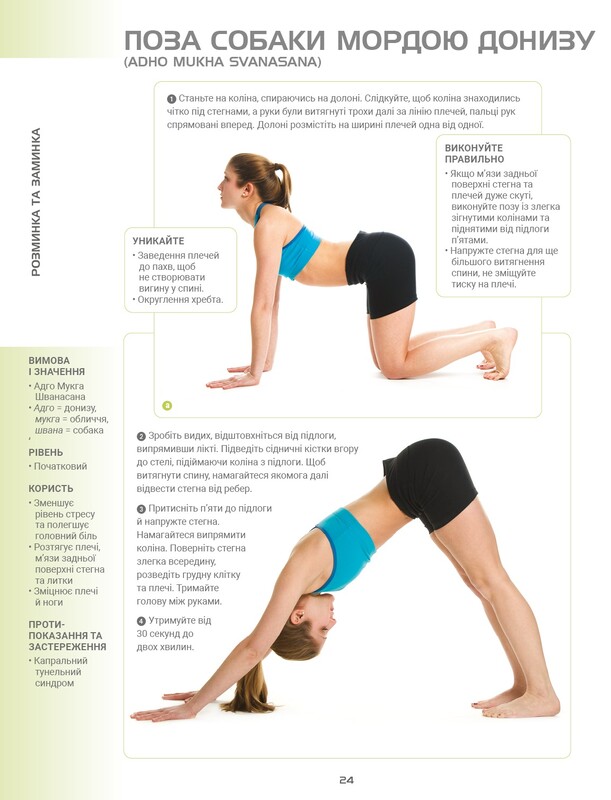 Анатомия йоги. Иллюстрированное пособие / Эбигейл Эллсворт
