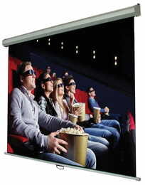 Экран настенный ручной Walfix 100" SNM-8 (125*221, 16:9)