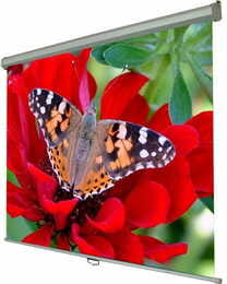 Экран настенный ручной Walfix 72" SNM-1 (110*145, 4:3)