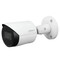 Фото - IP-камера Dahua DH-IPC-HFW2230SP-S-S2 (3.6 мм) | click.ua