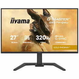Монитор Iiyama 27" G-Master GB2791QSU-B1 IPS Black 320Hz