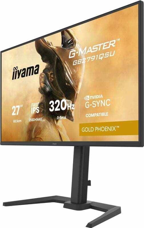 Монитор Iiyama 27" G-Master GB2791QSU-B1 IPS Black 320Hz