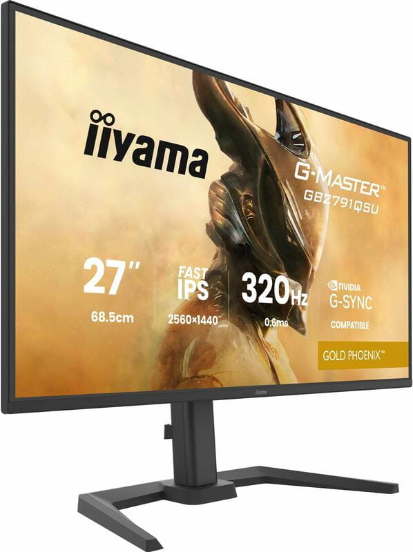 Монитор Iiyama 27" G-Master GB2791QSU-B1 IPS Black 320Hz