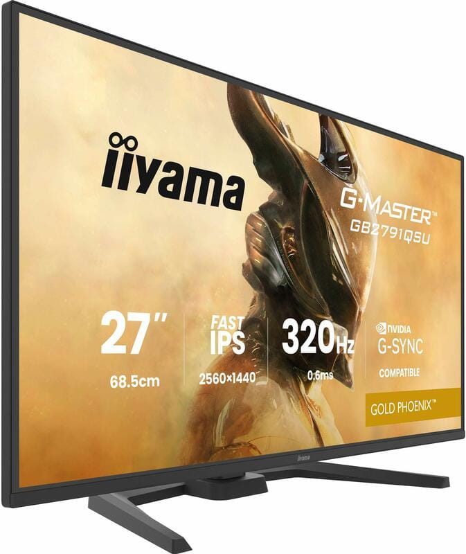 Монитор Iiyama 27" G-Master GB2791QSU-B1 IPS Black 320Hz