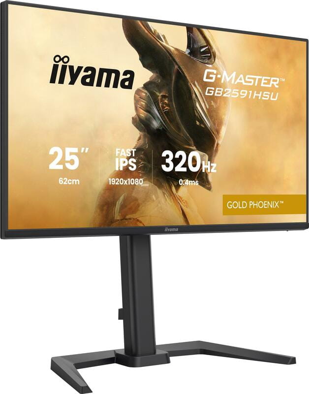 Монітор Iiyama 24.5" G-Master GB2591HSU-B1 IPS Black 320Hz