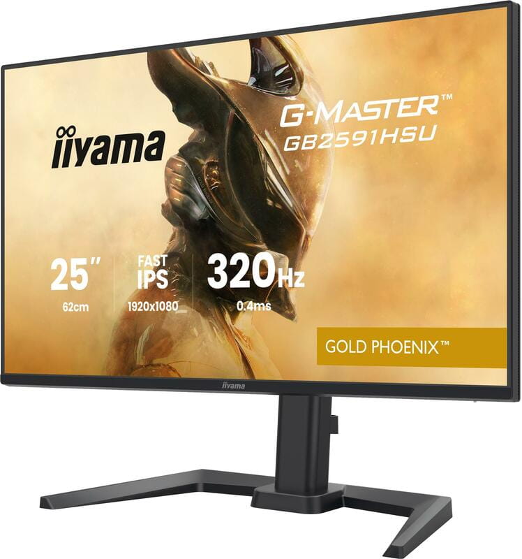 Монітор Iiyama 24.5" G-Master GB2591HSU-B1 IPS Black 320Hz