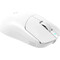 Фото - Миша бездротова Bloody SG5 White | click.ua