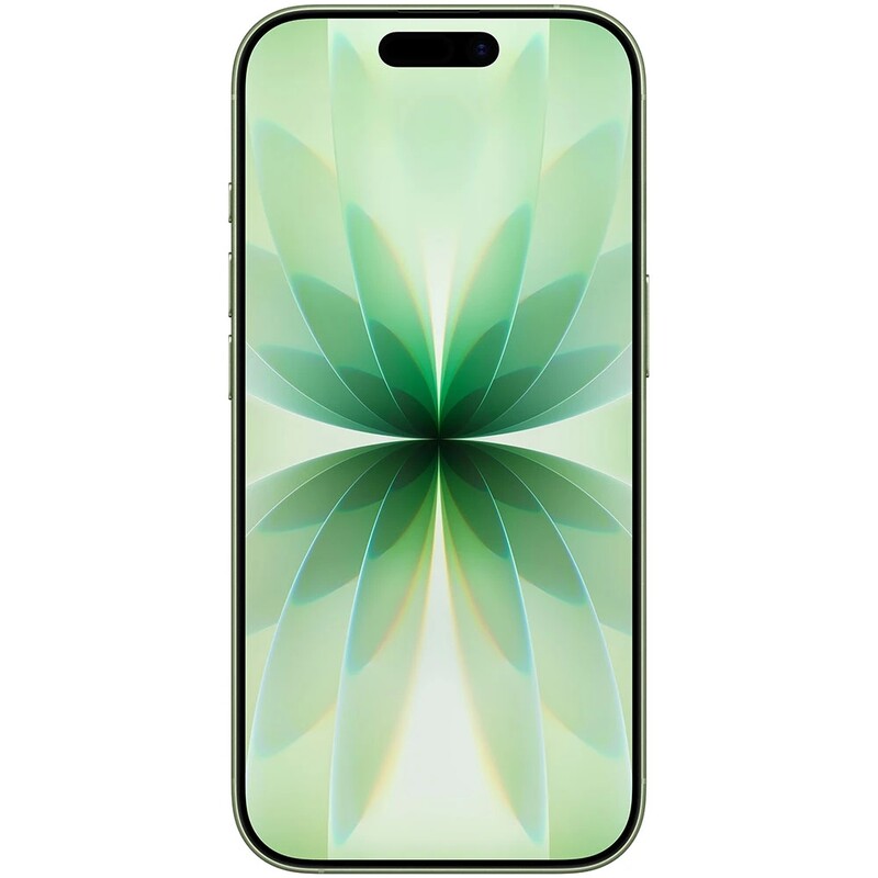 Смартфон Apple iPhone 17 256GB Sage (MG6N4AF/A)