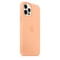 Фото - Чехол-накладка Apple Silicone Case with MagSafe для Apple iPhone 12 Pro Max Pistachio (MK053) | click.ua