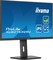 Фото - Монитор Iiyama 27" ProLite XUB2763QSU-B1 IPS Black 100Hz | click.ua