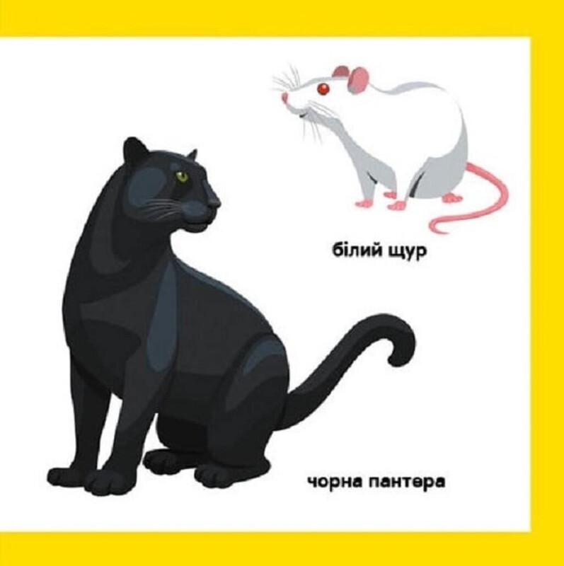 Смарт-книги. Противоположности