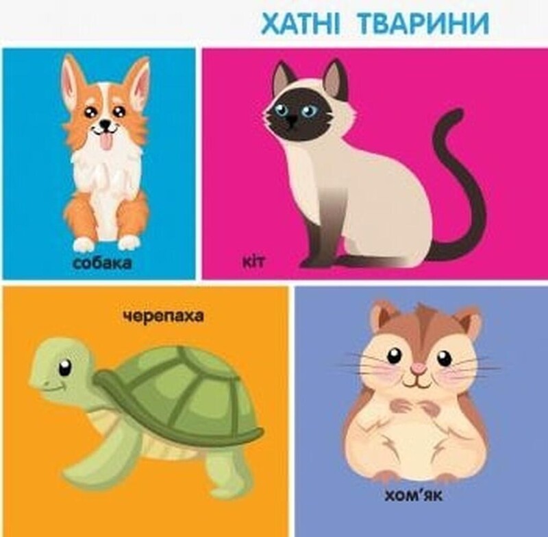 Смарт-книги. 100 первых слов