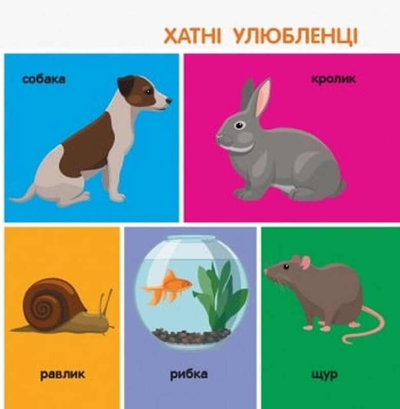 Смарт-книги. 100 животных