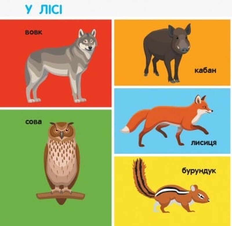 Смарт-книги. 100 животных