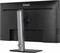 Фото - Монітор Iiyama 31.5" ProGraphic HB3201UHSNP-B1 IPS Black | click.ua